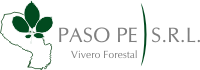Logo PasoPe2012 08 15